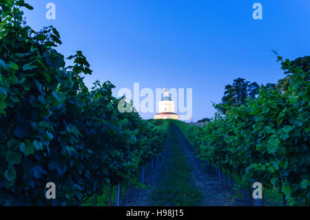 Angern ein der März: Kapelle Rochuskapelle, Weinberge in Mannersdorf, Weinviertel, Niederösterreich, Niederösterreich, Österreich Stockfoto