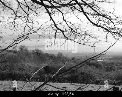 Blick über Belfast Black And White Landschaft Stockfoto