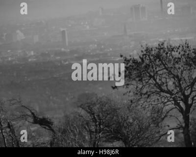 Blick über Belfast Black And White Landschaft Stockfoto