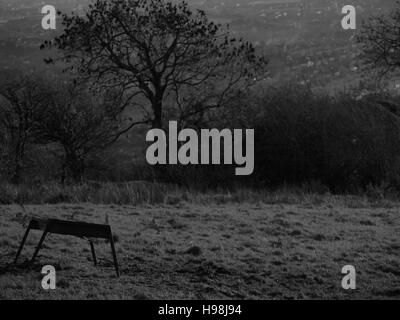 Blick über Belfast Black And White Landschaft Stockfoto