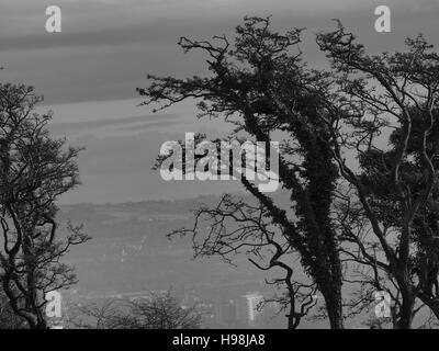 Blick über Belfast Black And White Landschaft Stockfoto