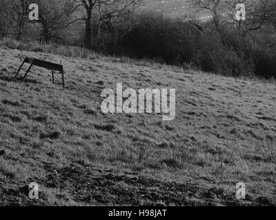 Blick über Belfast Black And White Landschaft Stockfoto