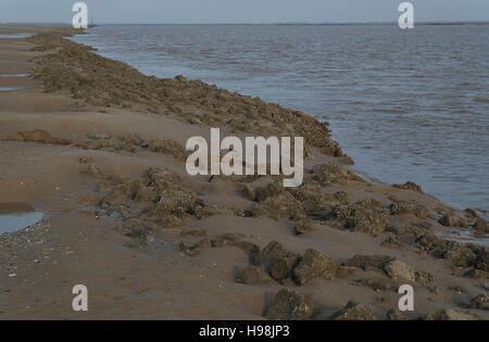 Blauer Himmelsblick, stromaufwärts von Fairhaven, Training Nordwand mit Miesmuschelbänke neben tief Wasserkanal Fluss Ribble, UK Stockfoto