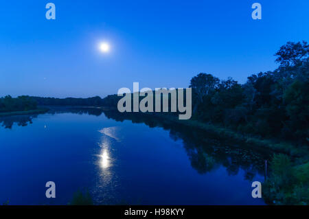 Wien, Wien: Oxbow See Kühwörter Wasser in die Lobau im Nationalpark Donauauen, Vollmond, 22., Wien, Österreich Stockfoto