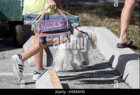 Wellington, Florida, USA. 19. November 2016. Danielle Nelms, 8, Wellington, trägt ein Zeichen für ihr Zimmer, die ihre Mutter auf dem grünen Markt in Wellington am 19. November 2016 gekauft. Nelms gerettet '' Cody'' ihre Malteser in Miami zu mischen. Der grüne Markt in Wellington ist geöffnet samstags 09:00 bis 13:00 vom 22. Oktober bis 29. April 2017. Der Markt liegt an 12150 Forest Hill Blvd., neben dem Wellington Amphitheater. © Allen Eyestone/der Palm Beach Post/ZUMA Draht/Alamy Live-Nachrichten Stockfoto