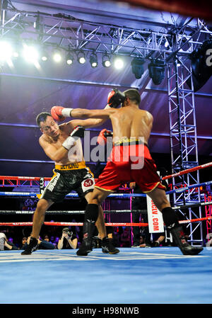 Las Vegas, Nevada, USA. 18. November 2016.  Daniel "El Duro" Rosario Schlachten Norberto "Demonio" Gonzolez an der "Knockout Night in the D" präsentiert von der hatte "Las Vegas und DLVEC und gefördert durch Roy Jones Jr. Credit: Ken Howard/Alamy Live News Stockfoto