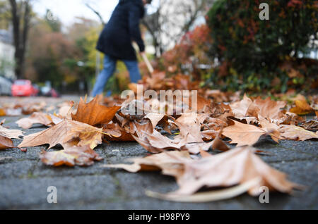 Eine Frau fegt Laub auf einem Bürgersteig in Wiesbaden, Deutschland, 17 November 2016-die Bürgerinitiative "Gehwegreinigung in Bürgerhand" (lit. Bürgersteig Reinigung in Händen der Bürgerinnen und Bürger) entsteht derzeit ein Konzept für eine neue Charta der Straßenreinigung. Die Politik im Bereich der neuen Charta entscheidet bis Mitte des nächsten Jahres, nachdem starke Bürger Widerstand der städtischen Pläne für Straßenreinigung gestoppt. Foto: ARNE DEDERT/dpa Stockfoto