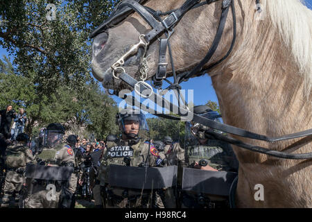 Austin, TX, USA. 19. November 2016. Gegen Demonstranten versammelten sich in einer weißen lebt Substanz Kundgebung vor der Landeshauptstadt in Austin, TX. Die Zähler-Demonstranten, Nummerierung in den Hunderten wurden getrennt aus dem Dutzend Mitglieder der weißen lebt Substanz von Austin Polizei und Texas State Troopers. Bildnachweis: Rustin Gudim/ZUMA Draht/Alamy Live-Nachrichten Stockfoto