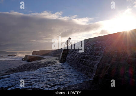Lyme Regis Dorset, UK. 20. November 2016. Eine Frau genießt den Blick auf Wellen, die über The Cobb Mauer in Lyme Regis, nach die Stürmen der letzten Nacht entlang der Südküste durch Vormittag Credit geblasen hatte: Simon Dack/Alamy Live News Stockfoto