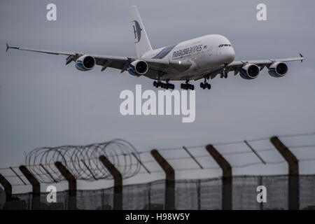 London, UK. 19. November 2016. Ein Airbus A380 kommt in Heathrow zu landen. Es ist ein Doppeldecker-, Großraumflugzeug, viermotorige Jet Airliner europäischen Herstellers Airbus. Es ist die weltweit größte Passagier Fluggesellschaft. Bildnachweis: Guy Bell/Alamy Live-Nachrichten Stockfoto