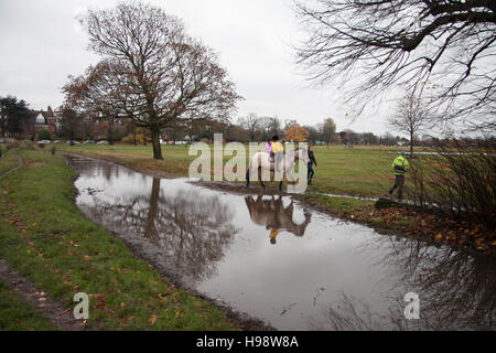 Wimbledon London, UK. 20. November 2016. Reiter auf Wimbledon Common an einem kalten, stürmischen Tag nach dem Sturm Angus in das Vereinigte Königreich mit 97 km/h zerschlägt windet Credit: Amer Ghazzal/Alamy Live-Nachrichten Stockfoto