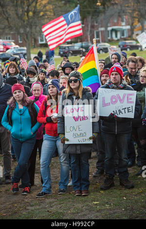 Ferndale, Michigan, USA. 20. November 2016. In Reaktion auf die Wahl von Donald Trump Hunderte Ferndale Liebe März angeschlossen in einem Vorort von Detroit. Organisatoren sagten, war es eine "friedliche Solidarität Spaziergang um einander zu unterstützen." Bildnachweis: Jim West/Alamy Live-Nachrichten Stockfoto