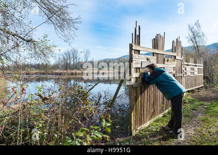 Öko-Tourismus. Abschirmung Barriere für die Vogelbeobachtung naturalistische Weg bei der Oase Palude Marsh, Provinz von Varese, Italien Stockfoto