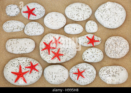 Abstrakte Strand Hintergrund auf Sand mit Seestern und weißen Steinen mit Bohrungen von bivalved Mollusken gemacht. Stockfoto