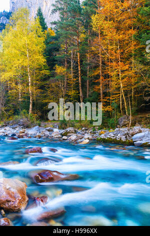 Gebirgsfluss und Wald im Herbst. Stockfoto