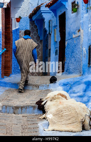 Leben auf der Straße In der Medina, Chefchaouen, Marokko Stockfoto