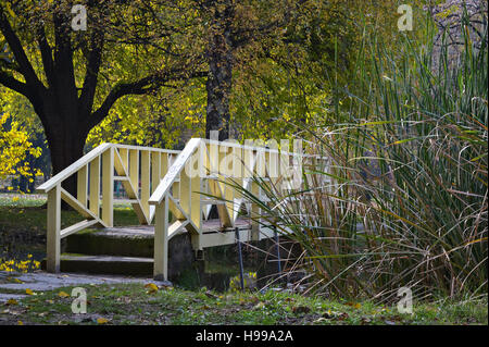 Kleine Brücke unter den Bäumen im Stadtpark Stockfoto