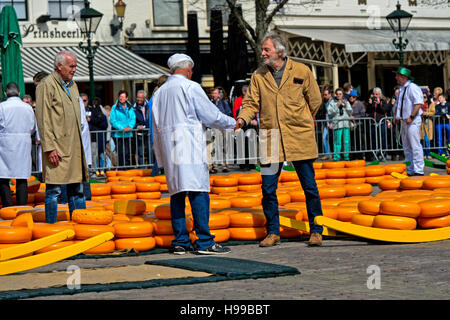 Käse-Landwirt und Kaufmann, die markante einen deal per Handschlag auf dem Käsemarkt von Alkmaar, Niederlande Stockfoto