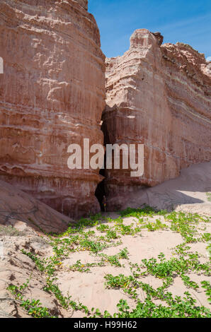 Hoch aufragenden roten Sandsteinfelsen in Angola die Küstenlinie der Namib-Wüste. Stockfoto