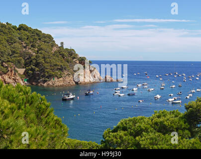 Boote vor Anker in der Bucht von Tamariu, an der Ostküste von Nord-Spanien in der Nähe von Girona Stockfoto