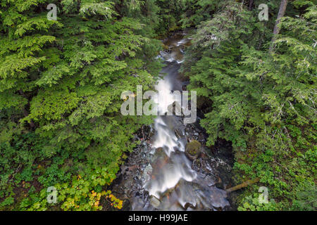 Ein Fluss aus den gemäßigten Regen Küstenwald, Tongass National Forest, Alaska, USA Stockfoto