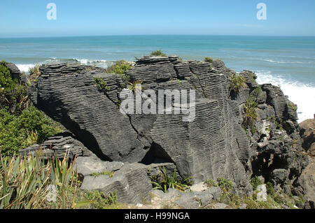 Punakaiki Pancake Rocks, Paparoa Nationalpark, Dolomit Punkt, West Coast, Südinsel, Neuseeland. Stockfoto