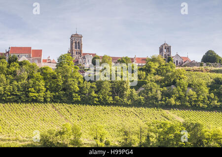 Die Weinberge von Le Clos unterhalb der Bergkuppe Dorf von Vezelay im Burgund. Das Weingut wird von Elise Villiers. Stockfoto