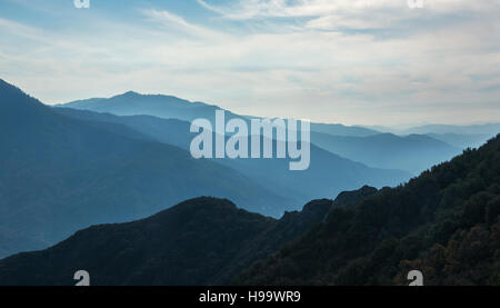 Fantastische Abendlicht in neblige Tal versteckt in den Rocky Mountains. Sequoia Nationalpark, Kalifornien, USA Stockfoto
