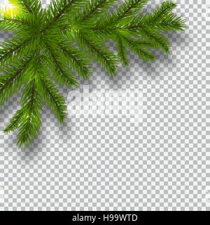 Grüne Zweige eines Weihnachtsbaumes auf einem Schachbrett-Hintergrund. Ecke mit Schatten. Weihnachtsschmuck. Abbildung Stock Vektor