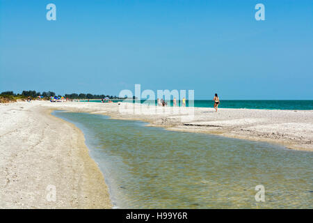 Florida, Sanibel Island, Bowmans Strand, Meer Muschelsammler Stockfoto
