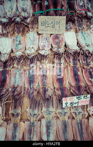 Getrockneten Tintenfisch in am Markt in Korea Stockfoto