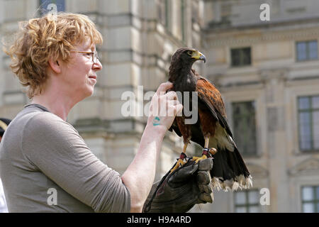 Frau mit Falke, Barockfestival, Schlossgarten, Ludwigslust, Mecklenburg-West Pomerania, Deutschland Stockfoto