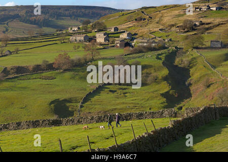 Langthwaite in Arkengarth Dale Yorkshire im Herbst Stockfoto