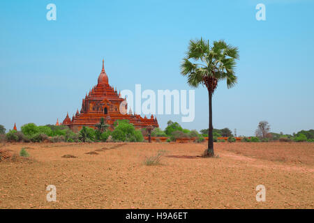 Alte Gubyaukgyi Tempel in Bagan, Myanmar, Südostasien. Schöne alte buddhistische Pagode, Myinkaba Dorf, Nyaung U, Burma Stockfoto