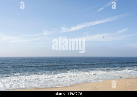 Marina State Beach und Fort Ord Dunes State Park, Kalifornien. Stockfoto