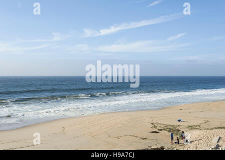 Marina State Beach und Fort Ord Dunes State Park, Kalifornien. Stockfoto