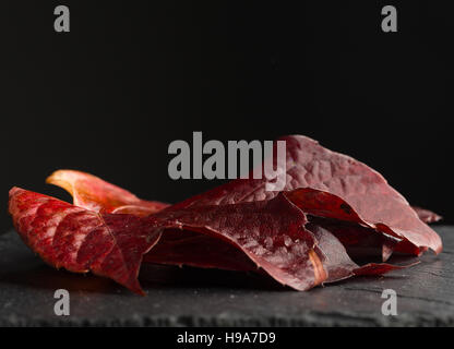 Porträt von einem einzigen großen roten Herbst Blatt auf Schiefer, gedreht von oben Stockfoto