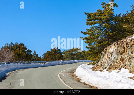 Leeren gebogenen Straße, die durch den Pinienwald im Winter. Troodos-Gebirge, Zypern Stockfoto