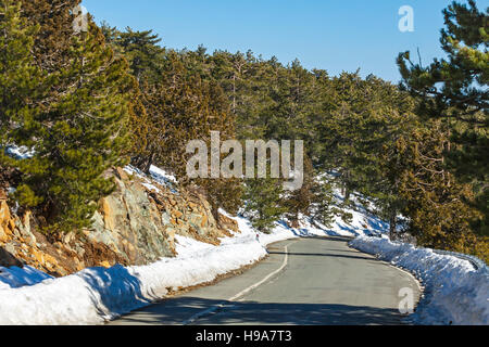 Leeren gebogenen Straße, die durch den Pinienwald im Winter. Troodos-Gebirge, Zypern Stockfoto