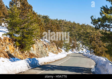 Gekrümmte Straße, die durch den Pinienwald im Winter. Troodos-Gebirge, Zypern Stockfoto