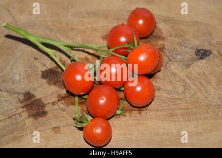Frische strauchtomaten auf braunem Hintergrund Stockfoto