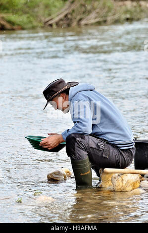 Französisch Gold Forscher an das Goldwaschen Europapokal der Landesmeister im Fluss Gardon im Departement Gard Stockfoto