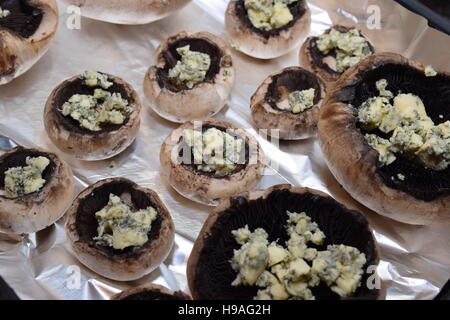 Kastanien Champignon gefüllte Biokäse bereit zu backen Stockfoto