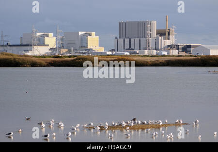 Dungeness Kernkraftwerk mit Dungeness Naturschutzgebiet im Vordergrund. Dungeness, Kent, UK Stockfoto