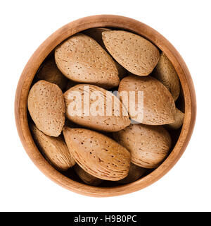 Mandeln in der Schale in einer Holzschale auf weißem Hintergrund. Die rohen essbaren Mandel Samen sind keine Muttern. Sie sind botanisch Steinfrüchte. Stockfoto