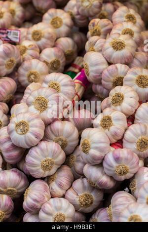 Haufen von selbst angebauten Knoblauch auf Landwirte Marktstand Stockfoto