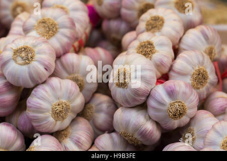 Haufen von selbst angebauten Knoblauch auf Landwirte Marktstand Stockfoto