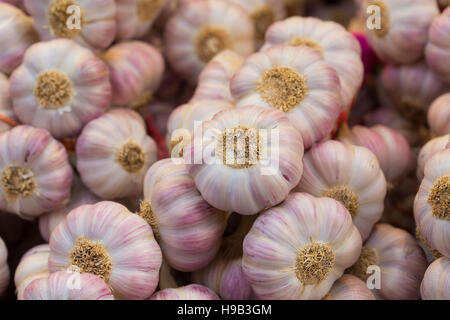 Haufen von selbst angebauten Knoblauch auf Landwirte Marktstand Stockfoto