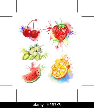 Aquarell, Früchte und Beeren, Vektor-Illustration isoliert auf weißem Hintergrund Stock Vektor