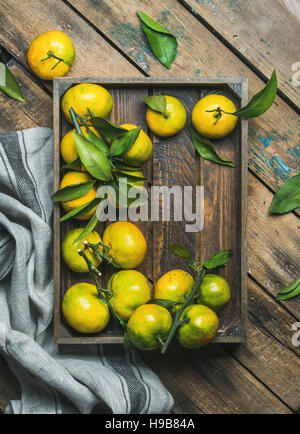 Frisches Grün und orange Mandarinen mit Blättern in Holzkiste Stockfoto